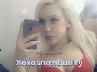 Xoxosnowbunny