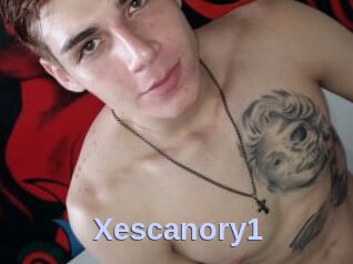 Xescanory1