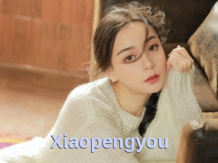 Xiaopengyou