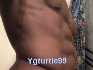 Ygturtle99