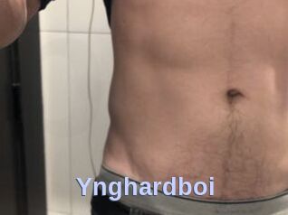 Ynghardboi