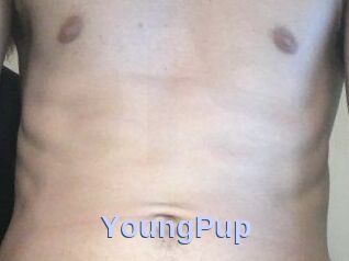 YoungPup