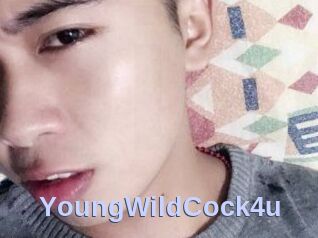 YoungWildCock4u