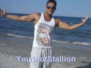 YourHotStallion