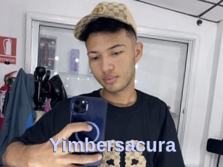Yimbersacura