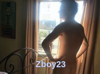 Zboy23