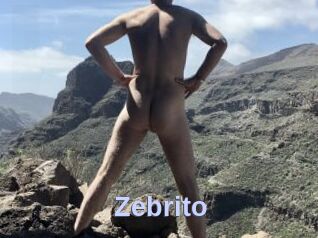 Zebrito