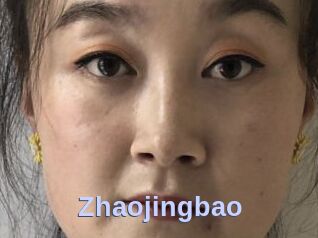 Zhaojingbao