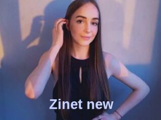 Zinet_new