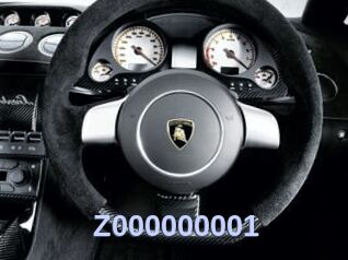 Z000000001