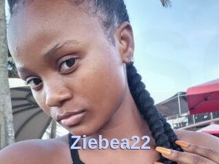 Ziebea22
